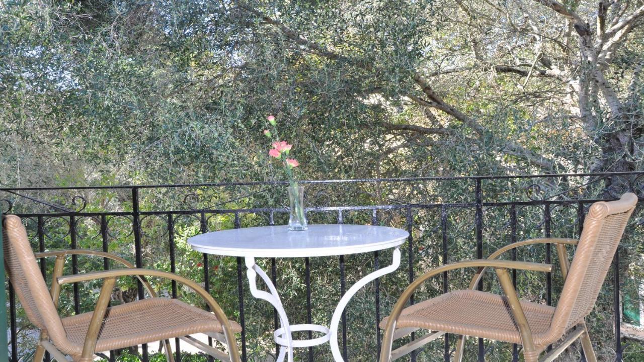 Villa Katerina Apartments Liapades Extérieur photo